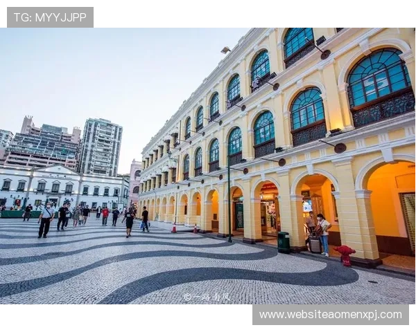 澳门葡京人是谁开的，详细解析其企业架构和管理团队的专业背景与行业经验